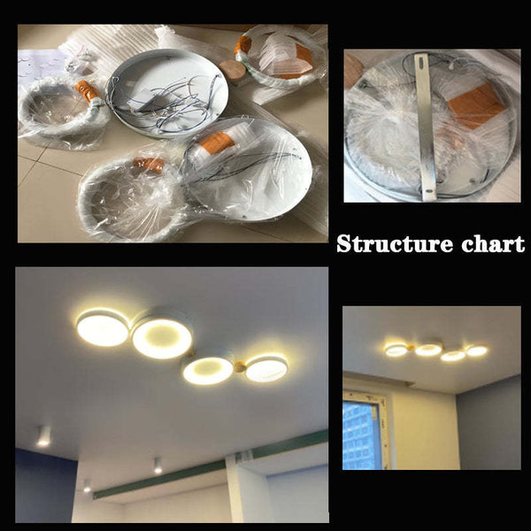 Modern Donut Ceiling Lamp