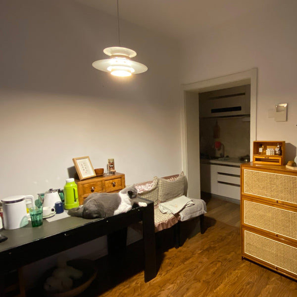 Lampe à suspension danoise Mercero Designer