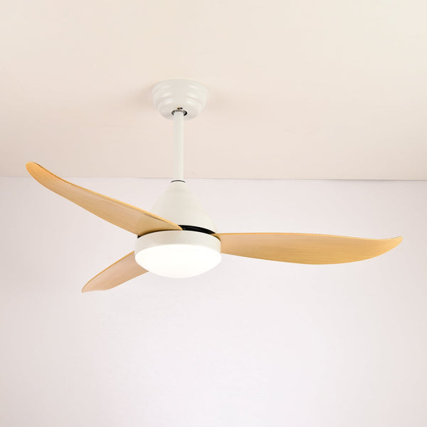 Modern and simple fan lamp