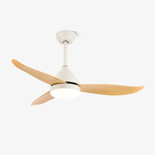 Modern and simple fan lamp