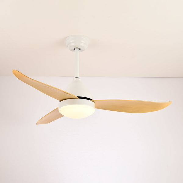 Modern and simple fan lamp
