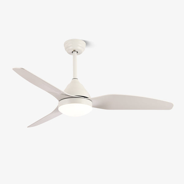 Modern and simple fan lamp