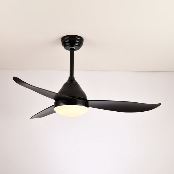 Modern and simple fan lamp