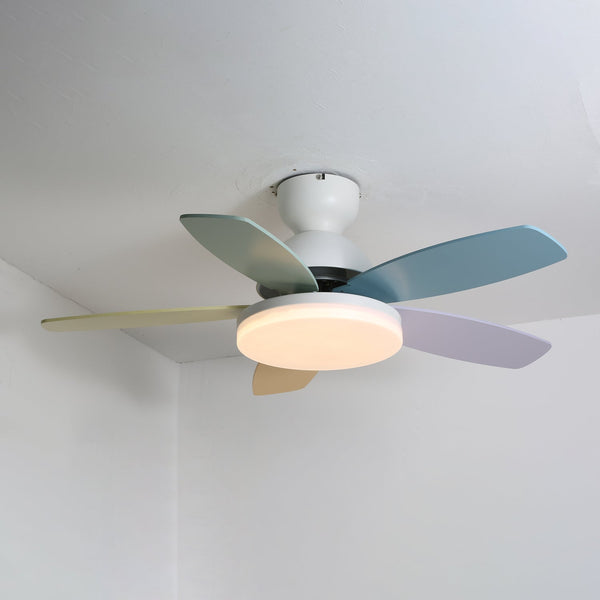 Multi-color petal ceiling fan lamp
