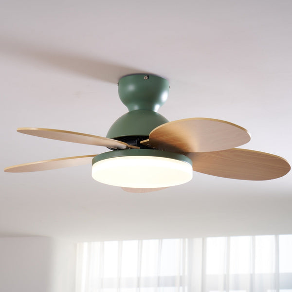 Multi-color petal ceiling fan lamp