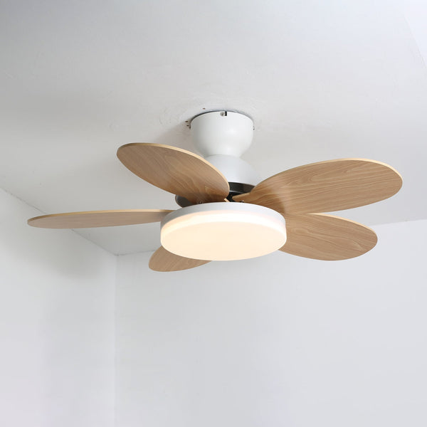 Multi-color petal ceiling fan lamp