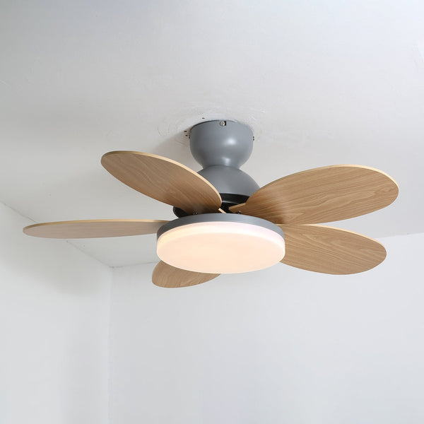 Multi-color petal ceiling fan lamp