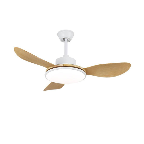 Nordic restaurant living room ceiling fan light