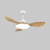 Nordic restaurant living room ceiling fan light
