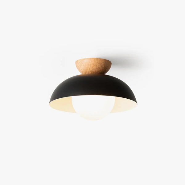 Nordic style entrance ceiling lamp