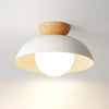 Nordic style entrance ceiling lamp