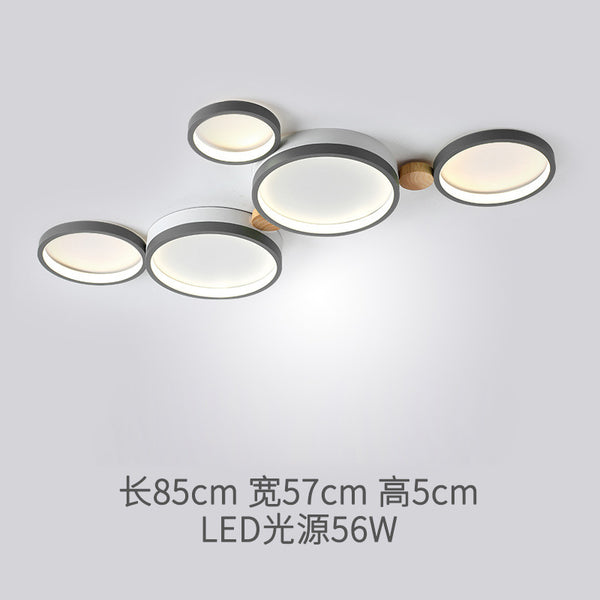 Modern Donut Ceiling Lamp