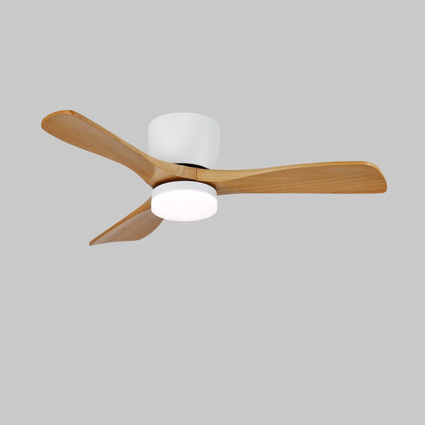 Simple style bedroom living room ceiling fan light