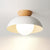 Nordic style entrance ceiling lamp