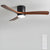 Wooden fan blade fan lamp