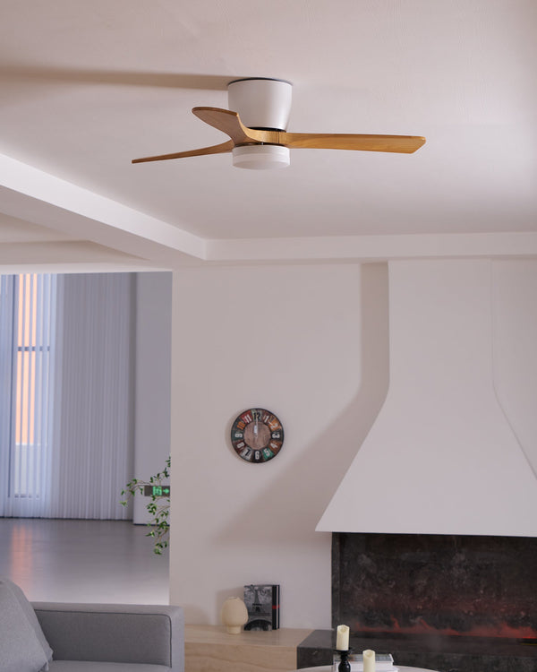 Wooden fan blade fan lamp