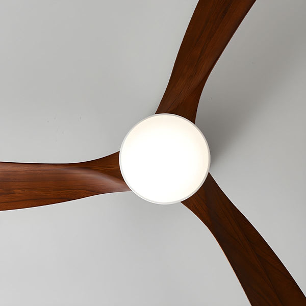 Wooden fan blade fan lamp
