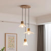 Japanese style log wind glass chandelier