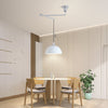 Removable swing chandelier