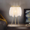 Natural Feather Floor Lamp