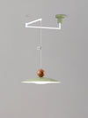 Removable swing light