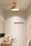 Simple macaron ceiling lamp