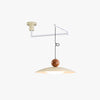 Removable swing light