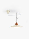 Removable swing light