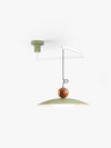 Removable swing light