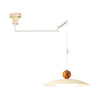 Removable swing light