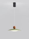 Removable swing light