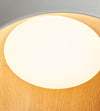 Nordic style LED ceiling light