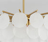 French cream shell chandelier