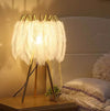 Natural Feather Floor Lamp
