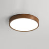 Modern simple LED ceiling lamp