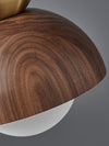 Walnut Aisle Ceiling Light