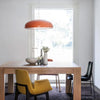 Simple personality single head dining pendant lamp