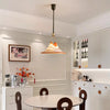 Vintage liftable restaurant chandelier