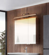 Solid wood long mirror front wall lamp