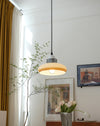 Retractable glass dining pendant light