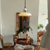 Retractable glass dining pendant light