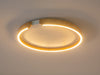 Modern simple LED ceiling lamp