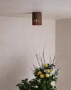 Chinese style walnut aisle corridor ceiling lamp