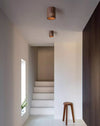 Chinese style walnut aisle corridor ceiling lamp