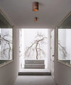 Chinese style walnut aisle corridor ceiling lamp
