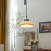 Retractable glass dining pendant light