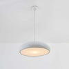 Simple personality single head dining pendant lamp