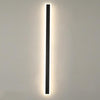 Black strip LED courtyard aisle wall light