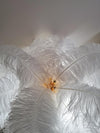 All copper ostrich feather table lamp