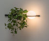 Nordic green plant outdoor corridor wall lamp